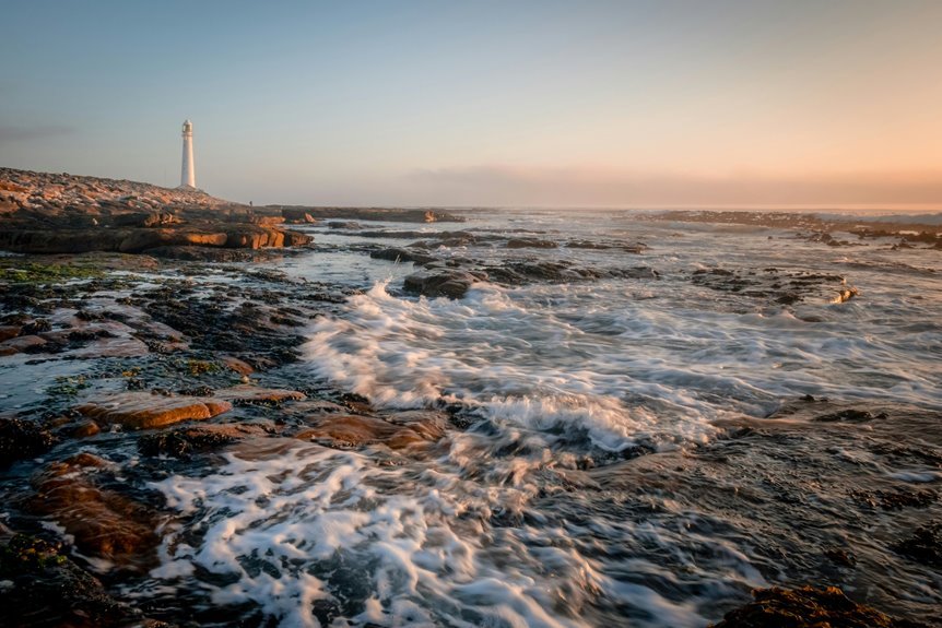 commercial signal discovery ledger