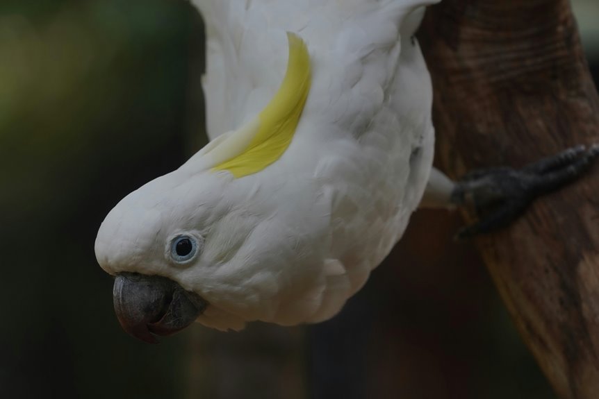 enterprise intelligence consolidation report